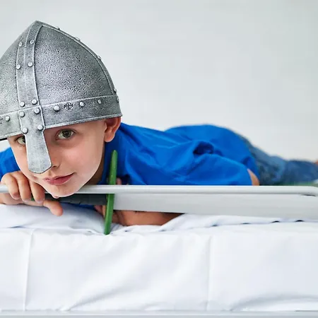 ダンホステル ホステル *